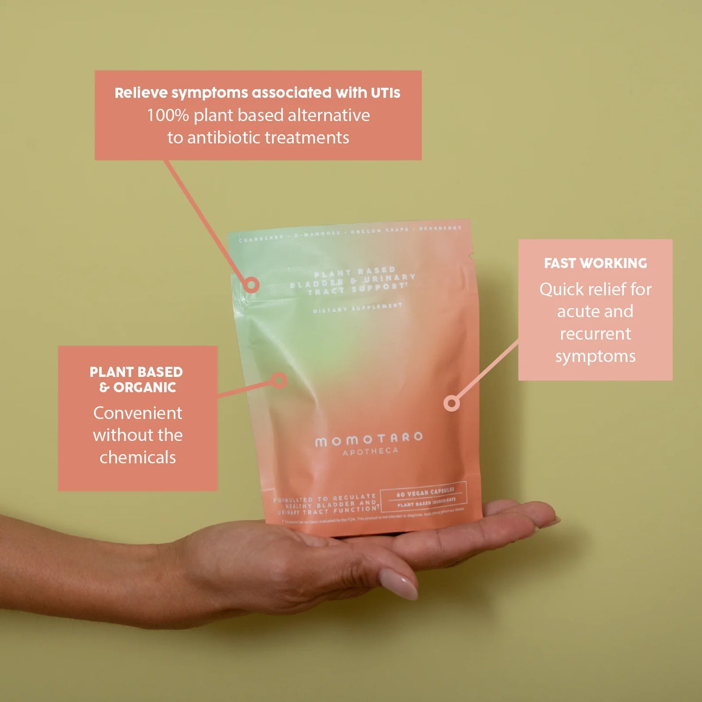 Plant Based and Organic Urinary Tract Supplement in hand.